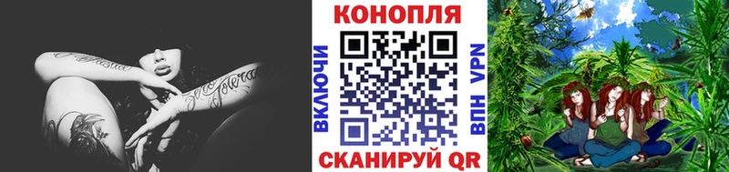 Купить где  Дигора  Бошки марихуана ГИДРОПОН 